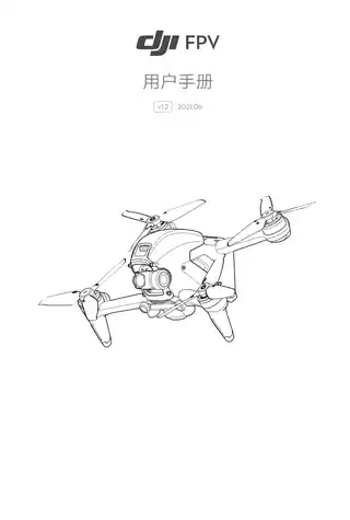 DJI大疆DJI FPV